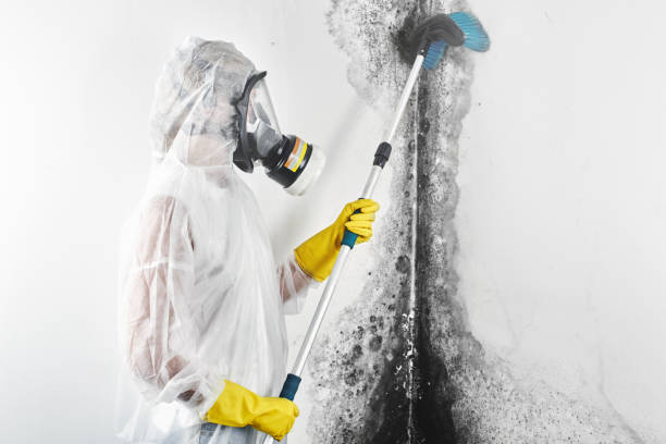 Best Dehumidification Services  in Cordova, NC