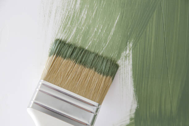 Best Mold Damage Restoration  in Cordova, NC