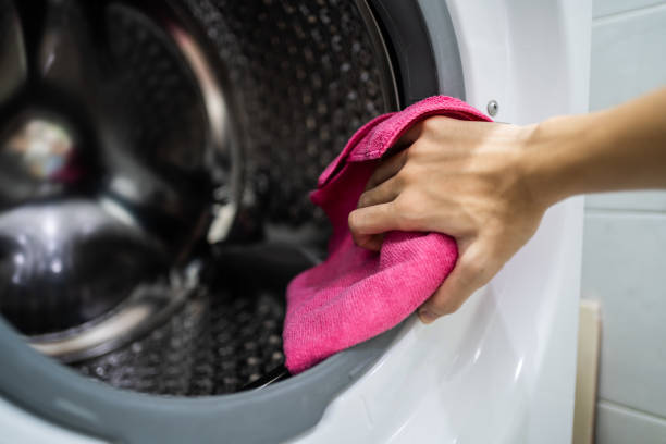 Professional Mold Removal in Cordova, NC