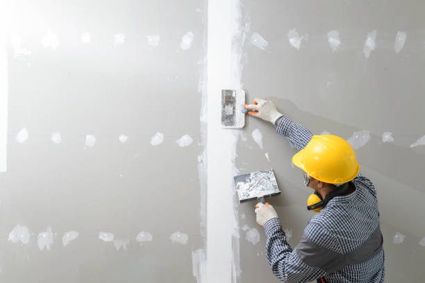 Best Attic Mold Removal  in Cordova, NC