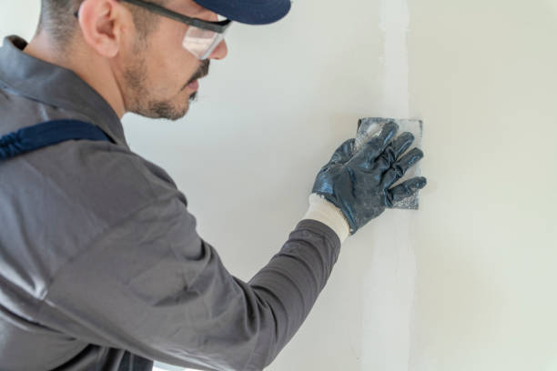 Best Mold Documentation for Insurance Claims  in Cordova, NC