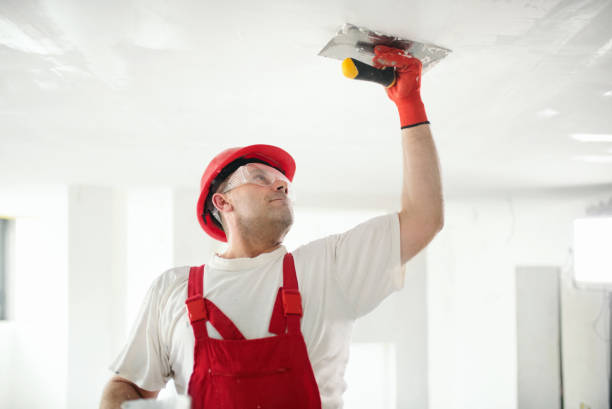 Best Airborne Mold Testing  in Cordova, NC