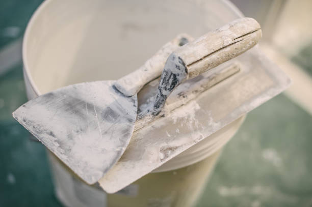 Best Mold Odor Removal Services  in Cordova, NC